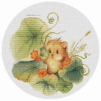 Даричева Дизайн 0066